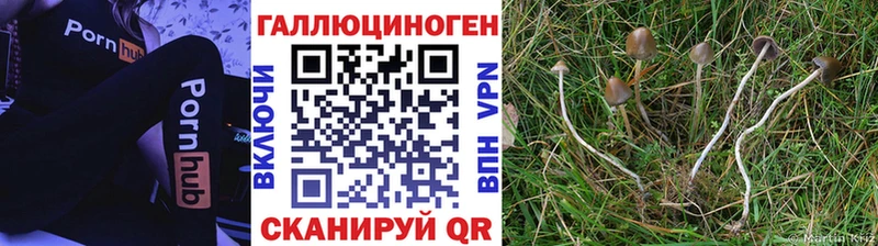 Псилоцибиновые грибы MAGIC MUSHROOMS  Златоуст 